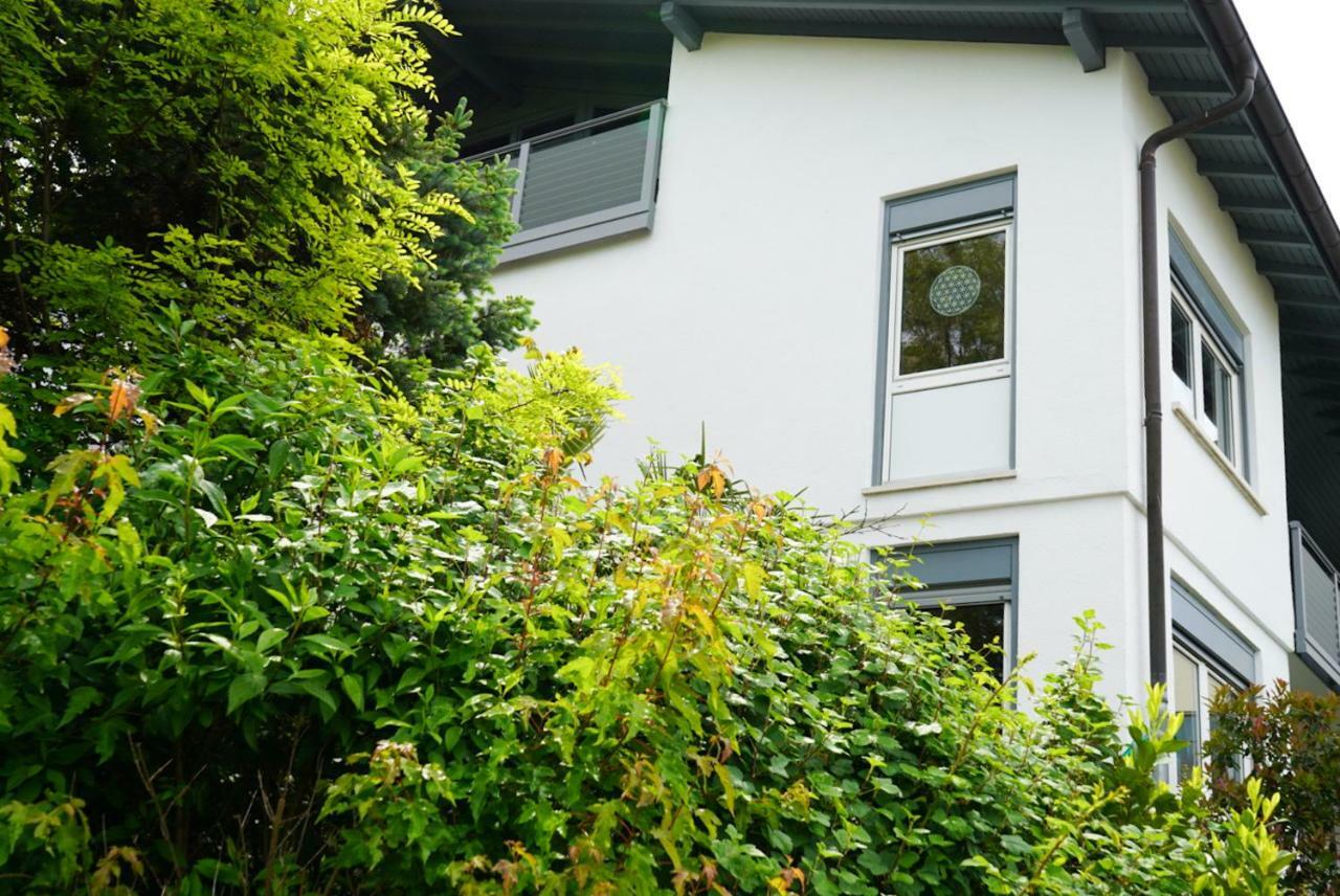 Zeilfelder Hirschberg an der Bergstrasse